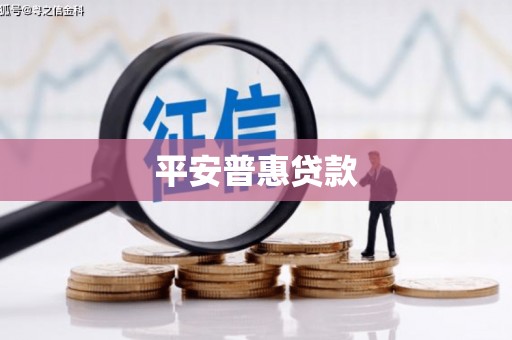 丹凤平安普惠贷款