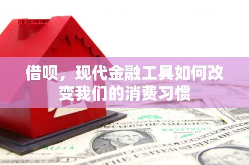 丹凤借呗，现代金融工具如何改变我们的消费习惯