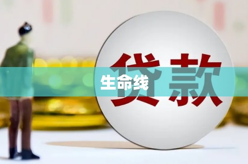 丹凤生命线