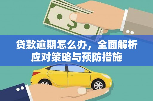 丹凤贷款逾期怎么办，全面解析应对策略与预防措施