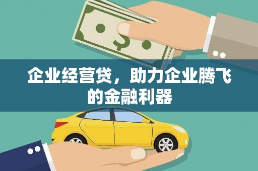 丹凤企业经营贷，助力企业腾飞的金融利器