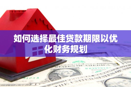 丹凤如何选择最佳贷款期限以优化财务规划