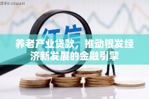 丹凤养老产业贷款，推动银发经济新发展的金融引擎