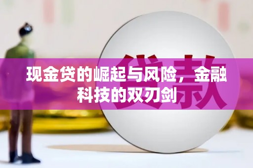 丹凤现金贷的崛起与风险，金融科技的双刃剑