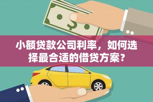 丹凤小额贷款公司利率，如何选择最合适的借贷方案？