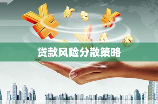丹凤贷款风险分散策略
