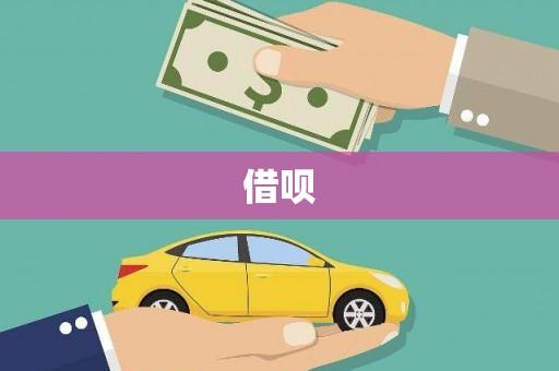丹凤借呗