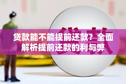 丹凤贷款能不能提前还款？全面解析提前还款的利与弊