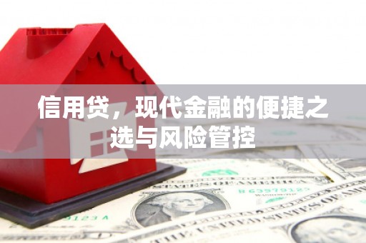 丹凤信用贷，现代金融的便捷之选与风险管控