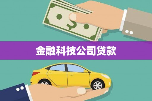 丹凤金融科技公司贷款
