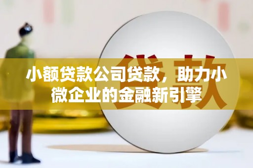 丹凤小额贷款公司贷款，助力小微企业的金融新引擎