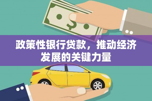 丹凤政策性银行贷款，推动经济发展的关键力量