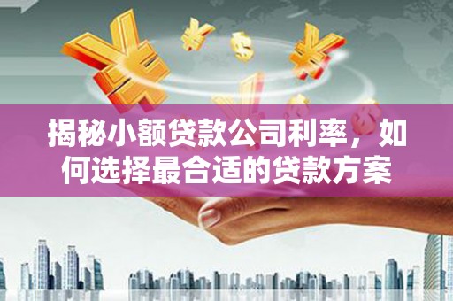 丹凤揭秘小额贷款公司利率，如何选择最合适的贷款方案