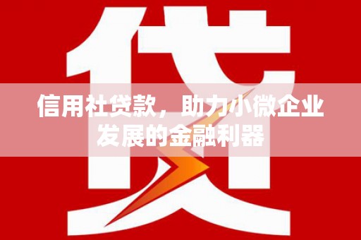丹凤信用社贷款，助力小微企业发展的金融利器
