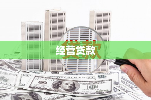 丹凤经营贷款