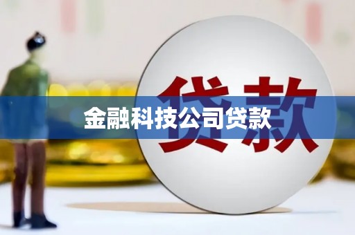 丹凤金融科技公司贷款
