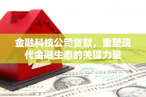 丹凤金融科技公司贷款，重塑现代金融生态的关键力量