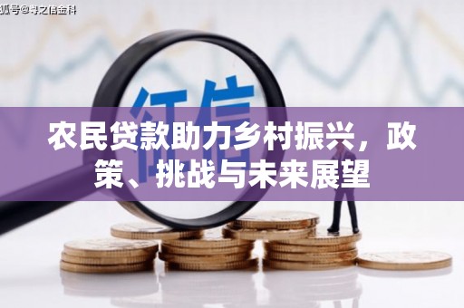丹凤农民贷款助力乡村振兴，政策、挑战与未来展望