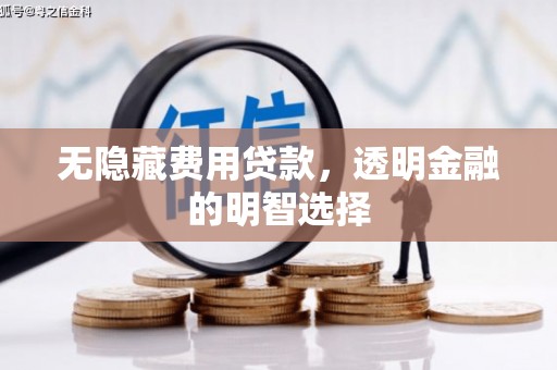 丹凤无隐藏费用贷款，透明金融的明智选择