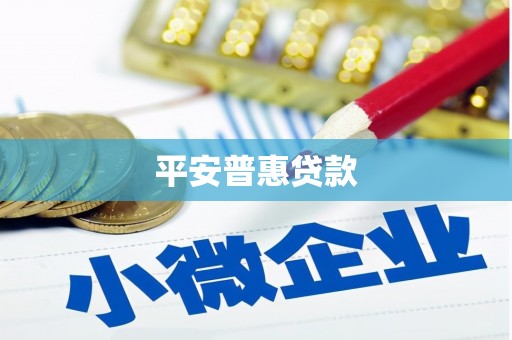 丹凤平安普惠贷款