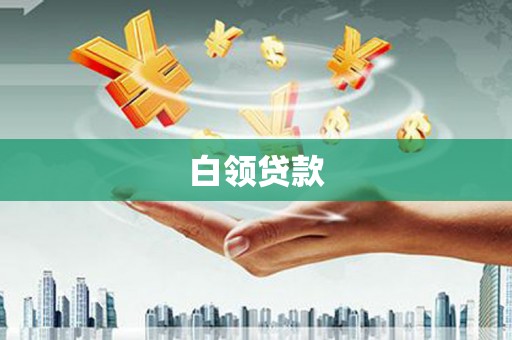 丹凤白领贷款