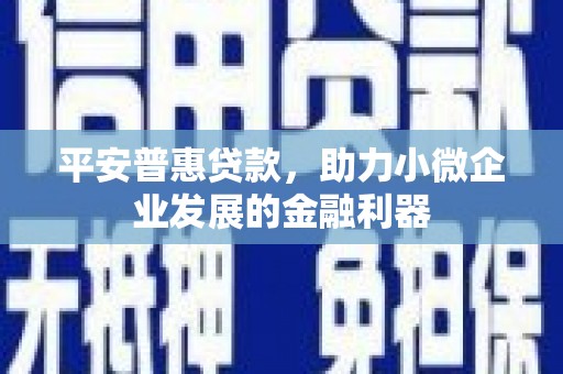 丹凤平安普惠贷款，助力小微企业发展的金融利器