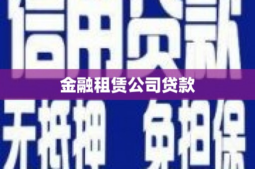 丹凤金融租赁公司贷款