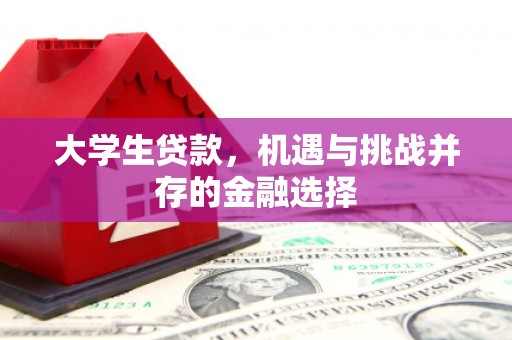 丹凤大学生贷款，机遇与挑战并存的金融选择