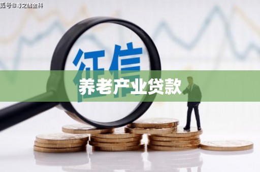 丹凤养老产业贷款