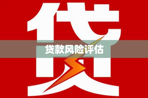 丹凤贷款风险评估