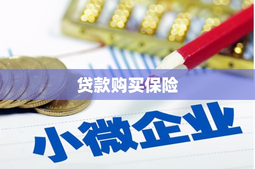 丹凤贷款购买保险