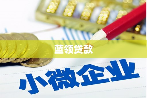 丹凤蓝领贷款