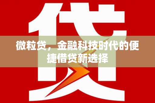 丹凤微粒贷，金融科技时代的便捷借贷新选择