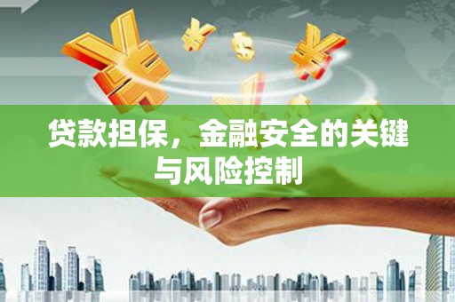 丹凤贷款担保，金融安全的关键与风险控制