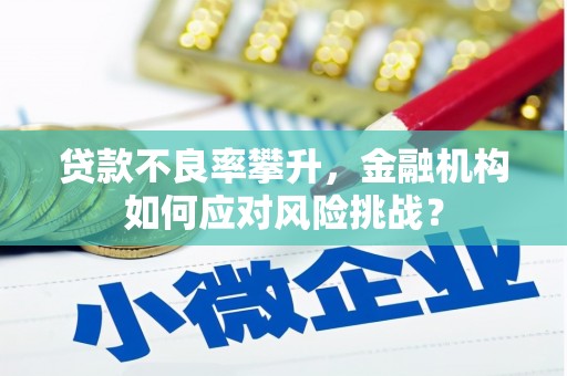 丹凤贷款不良率攀升，金融机构如何应对风险挑战？