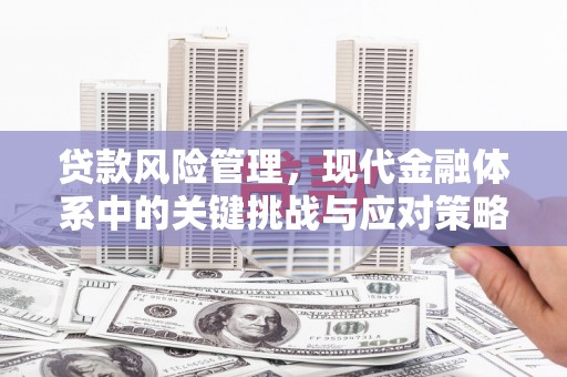 丹凤贷款风险管理，现代金融体系中的关键挑战与应对策略