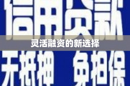 丹凤灵活融资的新选择