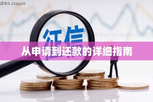丹凤从申请到还款的详细指南