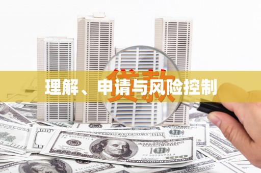 丹凤理解、申请与风险控制