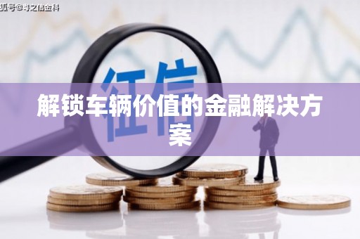 丹凤解锁车辆价值的金融解决方案