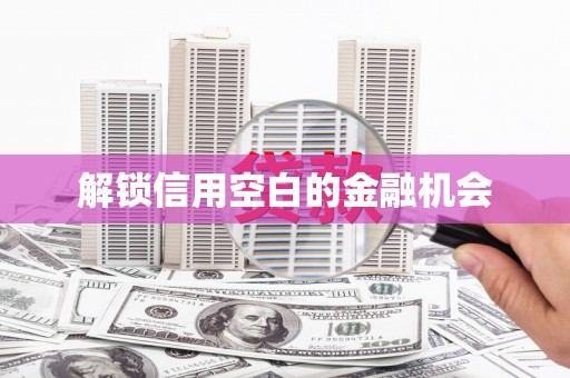 丹凤解锁信用空白的金融机会