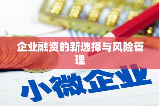 丹凤企业融资的新选择与风险管理