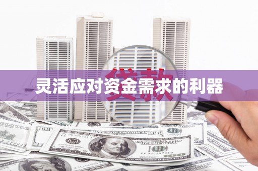 丹凤灵活应对资金需求的利器