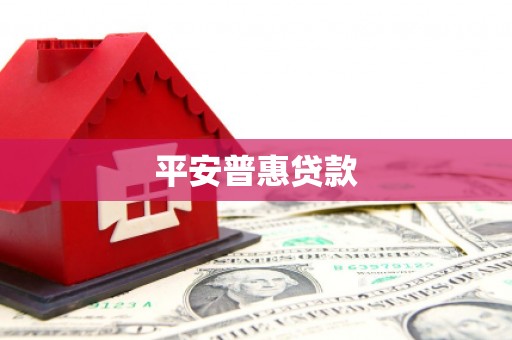 丹凤平安普惠贷款