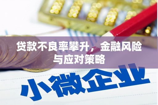 丹凤贷款不良率攀升，金融风险与应对策略