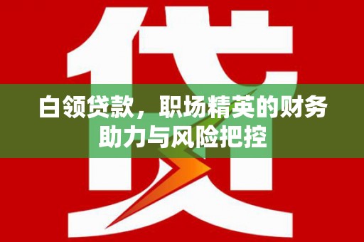 丹凤白领贷款,职场精英的财务助力与风险把控 丹凤白领贷款,职场精英的财务助力与风险把控